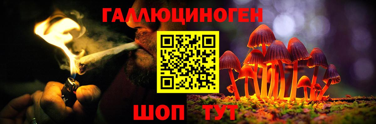 Галлюциногенные грибы GOLDEN TEACHER Ноябрьск