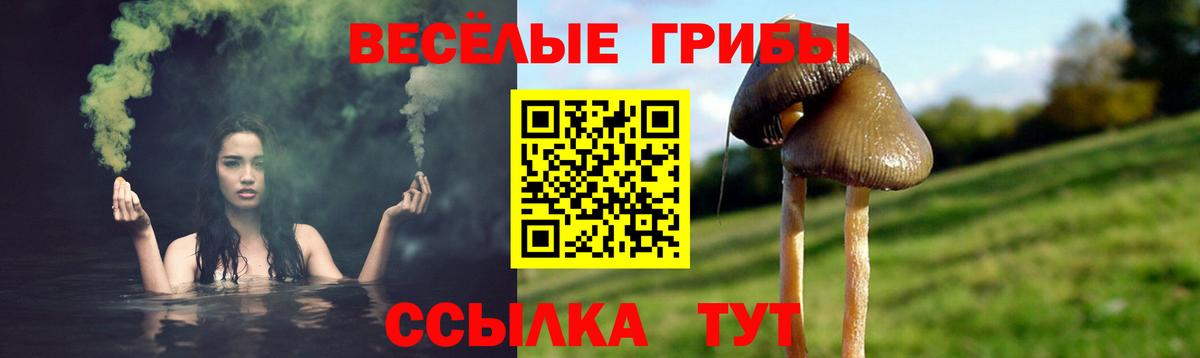 Ноябрьск  Галлюциногенные грибы Magic Shrooms  Вход с VPN  дарнет шоп  Псилоцибиновые грибы мухоморы 
